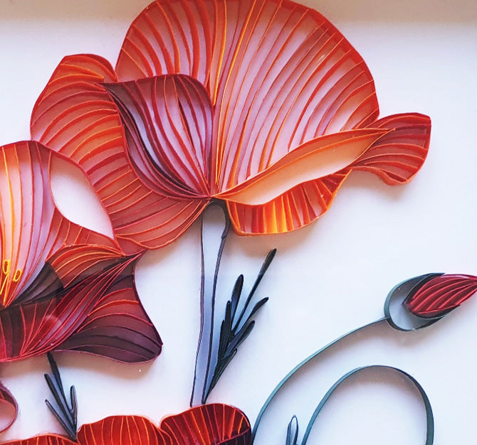 Poppies from paper