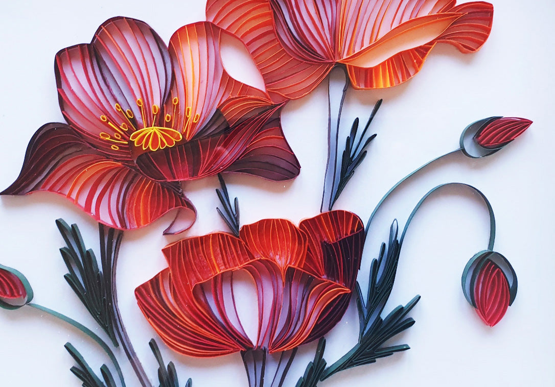 Poppies from paper